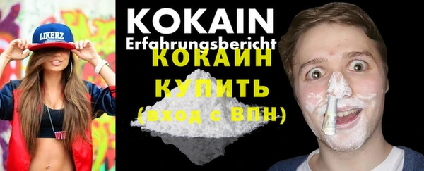 соль курить ск Заводоуковск