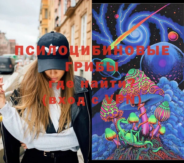 PSILOCYBIN Заволжск