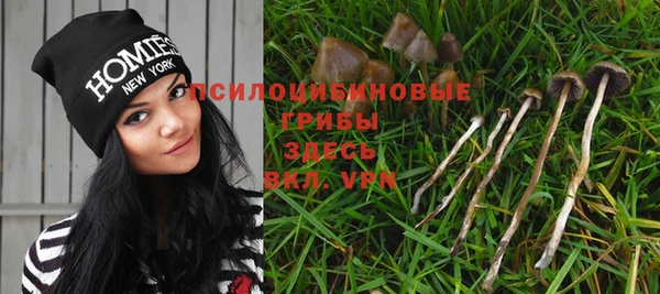 таблы Елизово