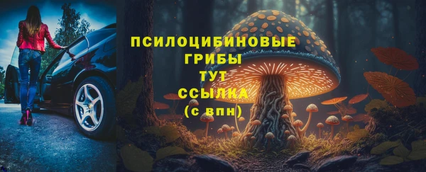 PSILOCYBIN Заволжск