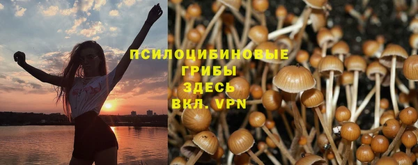 СК Заволжье