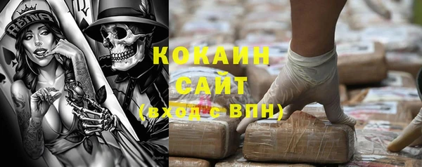 PSILOCYBIN Заволжск